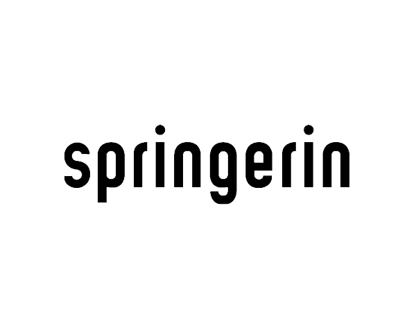 Logo springerin 2024