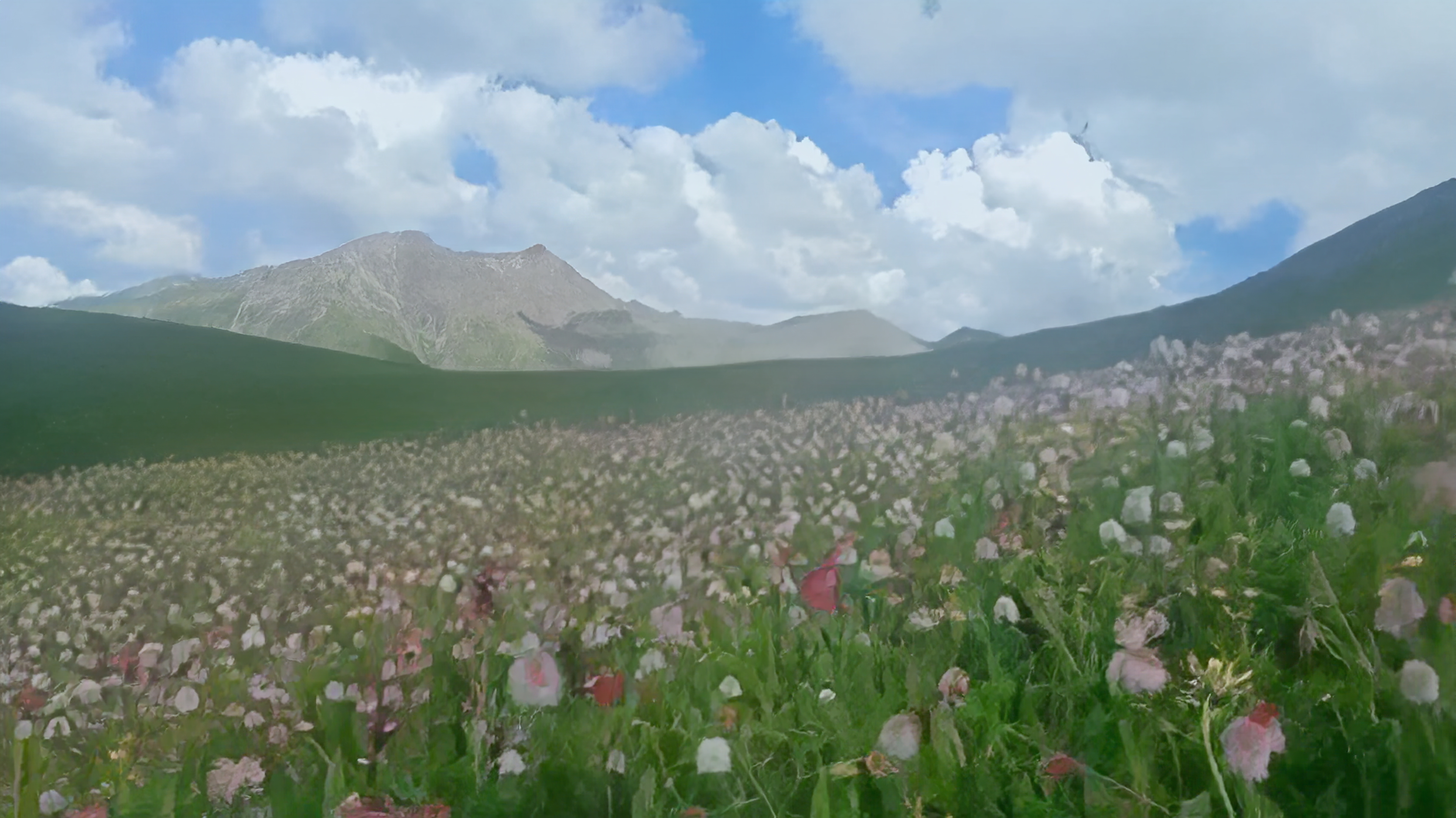 Filmstill Next Life Tenzin Phuntsog