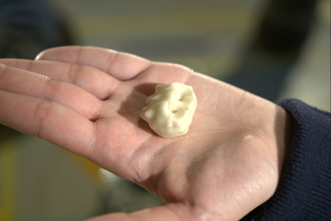 Campus Cemre Eraslan Den Haag